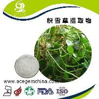 高純度紅參提取物 艾森格生物 品質(zhì)保證_中國(guó)蕪湖_艾森格_植物提取物-