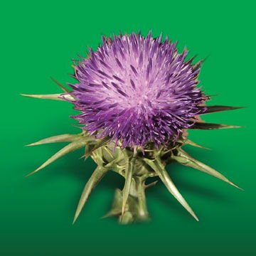 億帆醫藥股份 關于控股子公司在研產品獲fda批準上市的公告