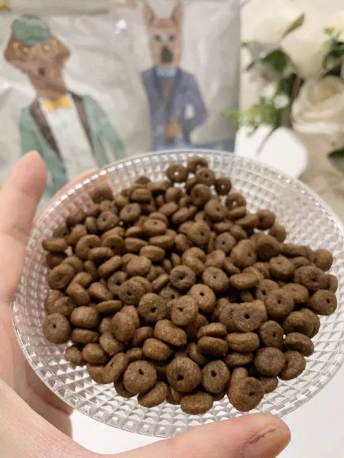 狗狗身上有異味 其實(shí)是這幾個(gè)部位搞的鬼