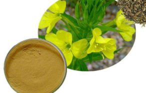 天然植物提取物行情怎么樣?