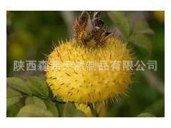 植物提取物-供應(yīng)優(yōu)質(zhì)廠家【野刺梨提取物 】◢◣阿里誠信商家◢◣-植物提取物盡在阿.