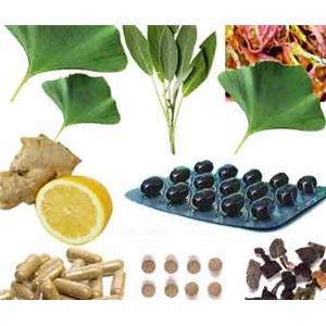 石杉?jí)A甲,千層塔提取物,銀杏葉提取物,植物提取物,中藥材