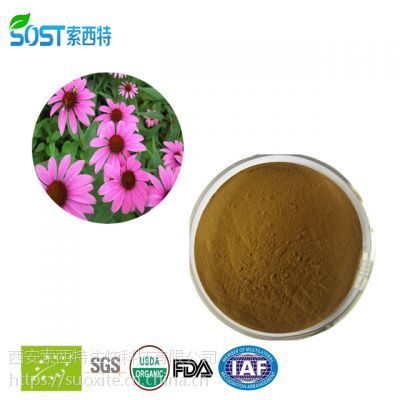 紫雛菊提取物 紫雛菊多酚 植物提取物價(jià)格 西安索西特生物規(guī)格多酚4%