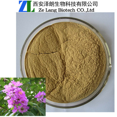 巴拿馬提取物中的科羅索酸 醫藥級植物提取物的應用與優勢