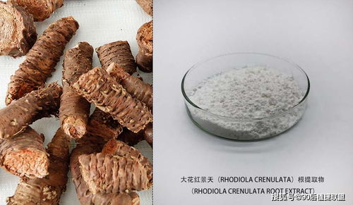 2020年化妝品原料熱點(diǎn)點(diǎn)評 植物提取物的新浪潮與前沿應(yīng)用